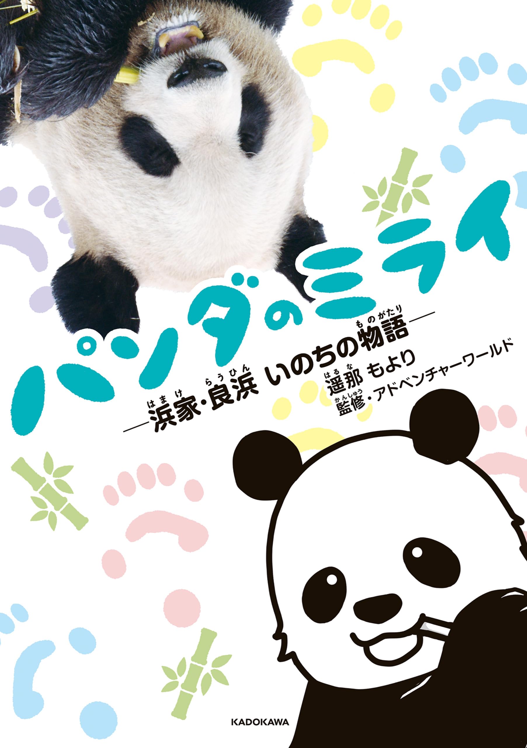 Amazon.co.jp: 遥那もより: 本、バイオグラフィー、最新アップデート